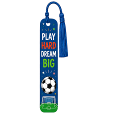 Play Hard Dream Big